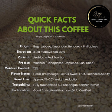 Kapangan GCB Quick Facts, Unroasted Coffee Single Origin