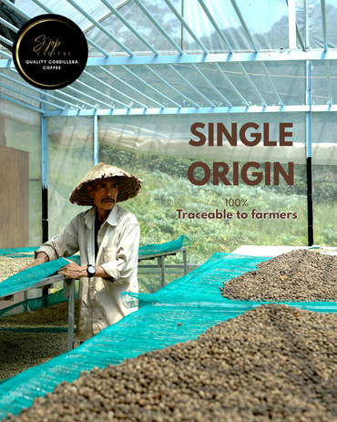 Unroasted Arabica Coffee Beans – Single Origin from Atok, Benguet