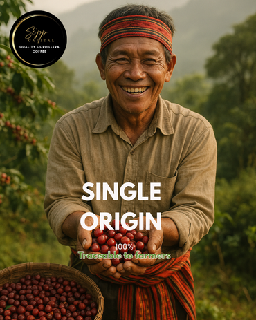 Unroasted Arabica Coffee Beans – Tublay, Benguet Origin
